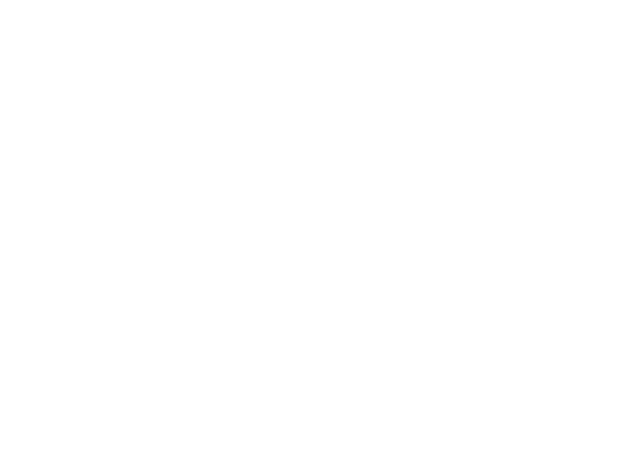 Raj Arts
